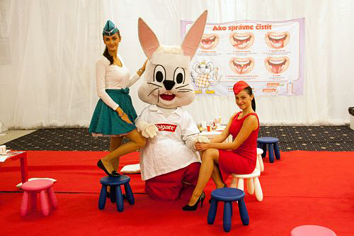 Colgate-galerie Fotogalerie